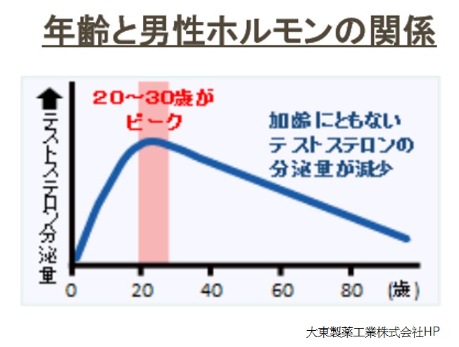 年齢と男性ホルモン